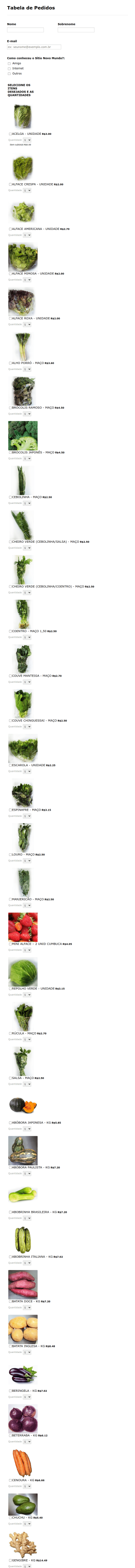 Food Supply Order Form Template