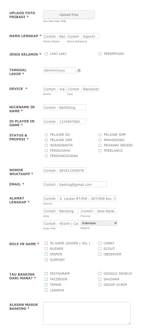 BASKING Member ESPORTS Form Template