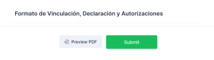 Formato De Vinculación, Declaración Y Autorizaciones