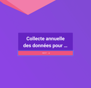 Formulaire De Collecte Des Informations Liées Aux Revenus Form Template