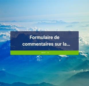 Formulaire De Commentaires Sur La Session D'apprentissage En Ligne Form Template