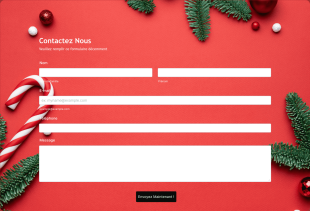 Formulaire De Contact De Noël