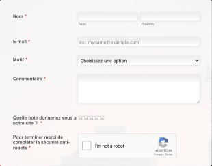 Formulaire De Contact/evaluation Form Template