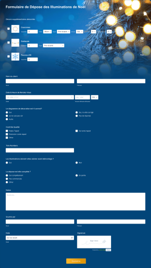 Formulaire De Dépose Des Illuminations De Noël