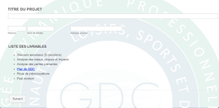 Formulaire De Gestion Du Changement