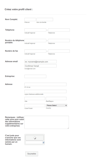 Formulaire De Profil Client