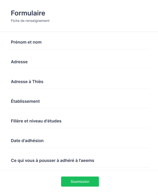 Formulaire De Renseignements Form Template