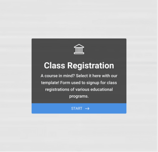 Formulaire De Rôle Discord Form Template