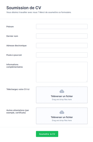 Formulaire De Soumission De CV Form Template