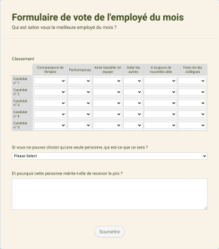 Formulaire De Vote De L'employé Du Mois Form Template