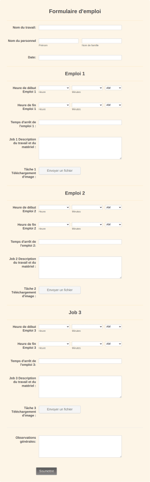 Formulaire D'emploi Form Template