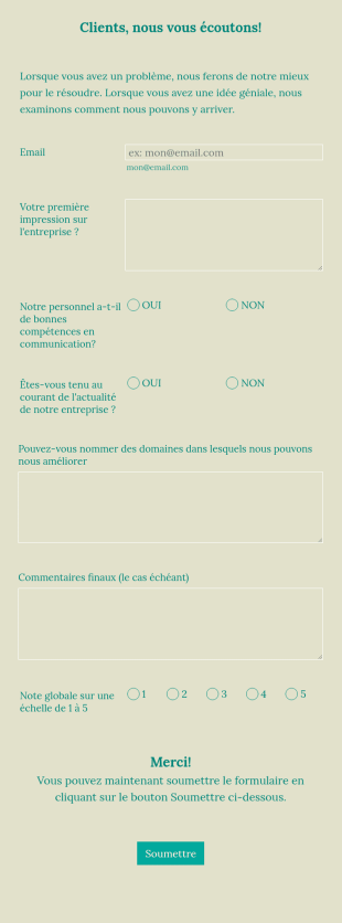 Formulaire D'enquête Clients