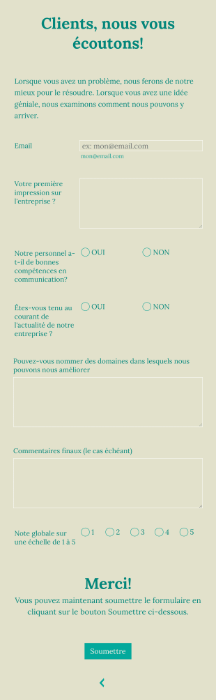 Formulaire D'enquête Clients Form Template