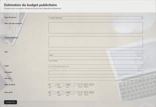 Formulaire D'estimation Du Budget Publicitaire Form Template