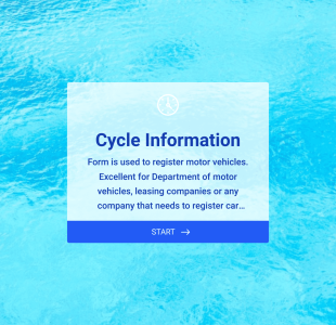 Formulaire D'immatriculation Du Véhicule Form Template