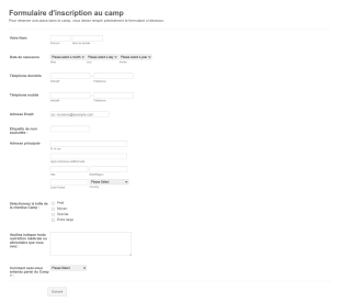Formulaire D'inscription Au Camp Form Template