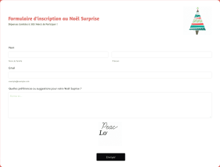 Formulaire D'inscription Au Noël Surprise Form Template