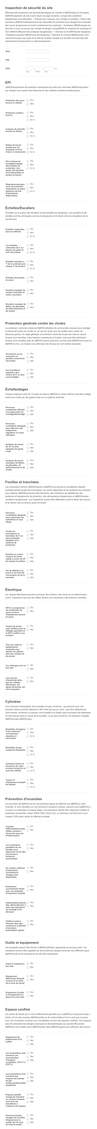 Formulaire D'inspection De Sécurité Du Site