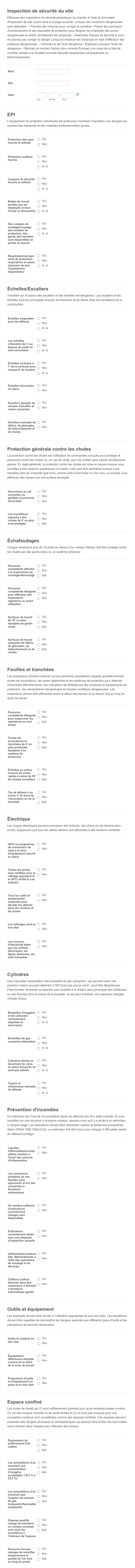 Formulaire D'inspection De Sécurité Du Site Form Template