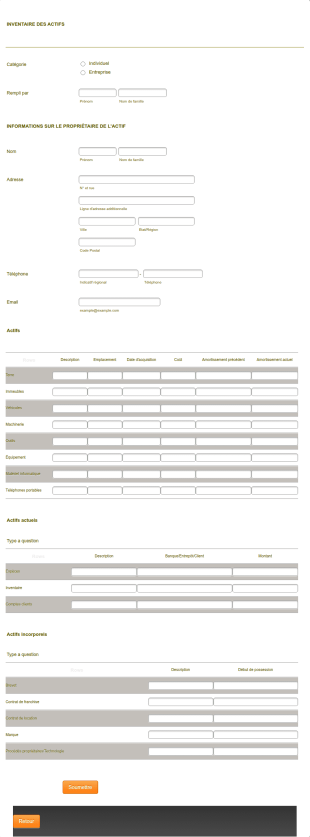 Formulaire D'inventaire Des Actifs