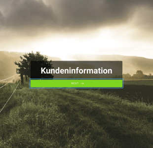 Formular Für Einen Persönlichen Kreditantrag Form Template