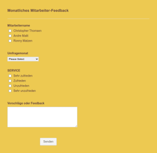 Formular Für Monatliches Mitarbeiter Feedback