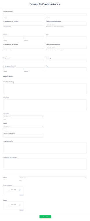 Formular Für Projekteinführung Form Template