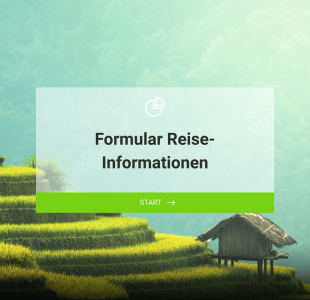 Formular Reise Informationen Form Template