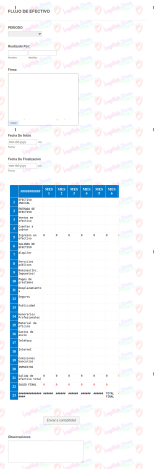 Formulario Control De Flujo De Efectivo