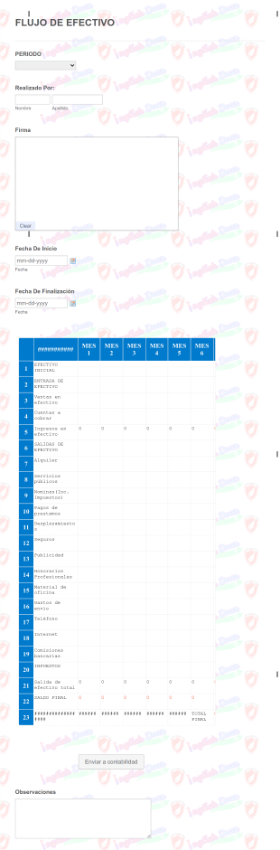 Formulario Control De Flujo De Efectivo Form Template