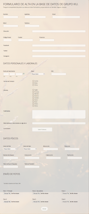 Formulario De Alta En Base De Datos Form Template