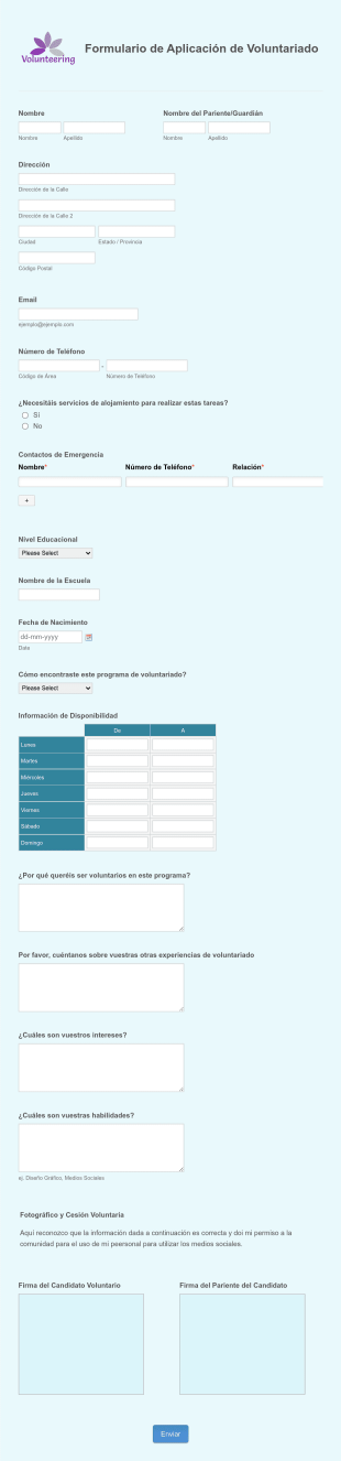 Formulario De Aplicación De Voluntariado Form Template
