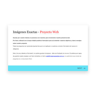 Formulario De Aplicación Para Proyecto Web Form Template