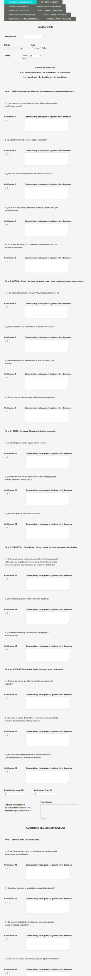 Formulario De Auditoría Organizado En Secciones