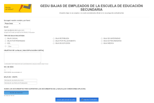Formulario De Baja Del Personal Escolar Form Template