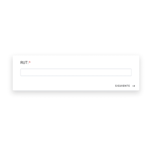 Formulario De Calificación De Clientes Inmobiliarios Form Template