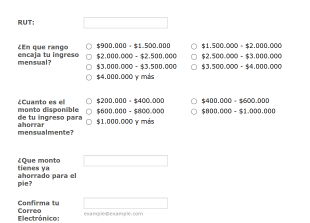 Formulario De Calificación De Clientes Inmobiliarios Form Template