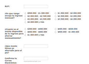 Formulario De Calificación De Clientes Inmobiliarios