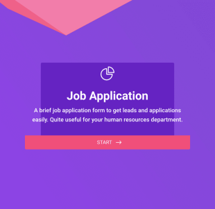 Formulário De Candidatura De Emprego Online
