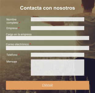 Formulario De Contacto Empresarial Form Template