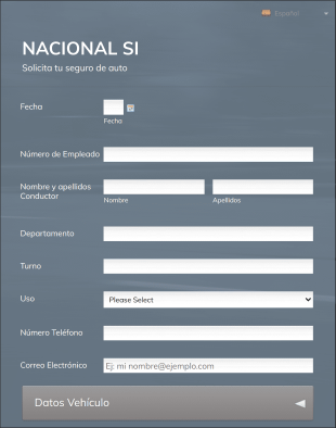 Formulario De Datos De Seguros Para Vehículos Nacionales Si