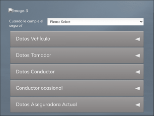 Formulario De Datos De Seguros Para Vehículos Form Template