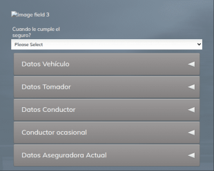 Formulario De Datos De Seguros Para Vehículos
