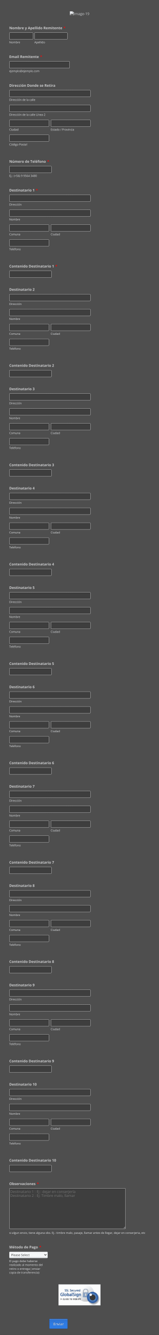 Formulario De Despacho Form Template