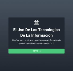 Formulario De Encuesta De TI E Internet Form Template