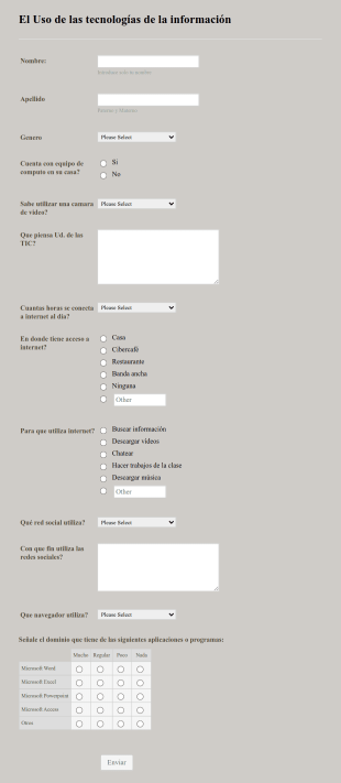Formulario De Encuesta De TI E Internet Form Template