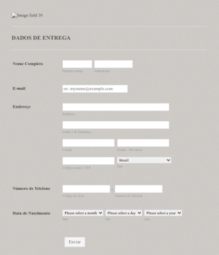 Formulário De Entrega De Dados