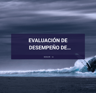 Formulario De Evaluación De Desempeño Form Template