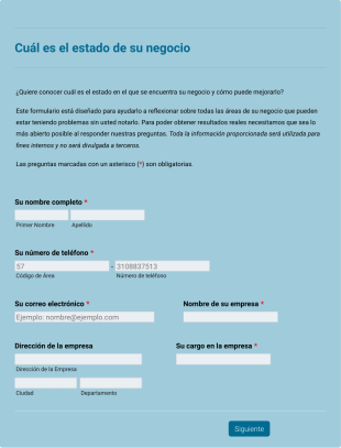 Formulario De Evaluación De Negocios E Identificación De Problemas