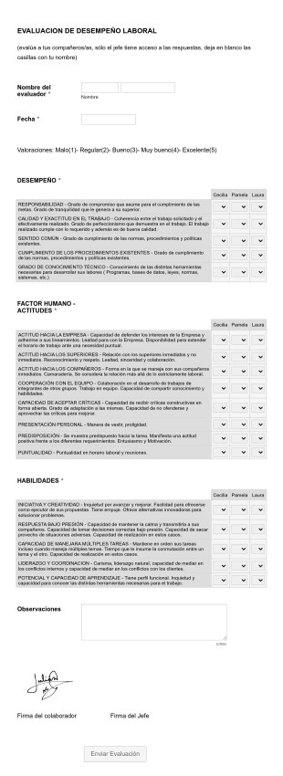 Formulario De Evaluación Desempeño Laboral Form Template